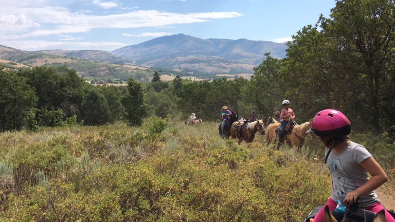 Back Country Horsemen
