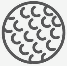 golf ball