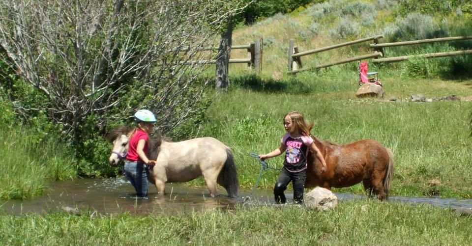 Back Country Horsemen Youth Camp